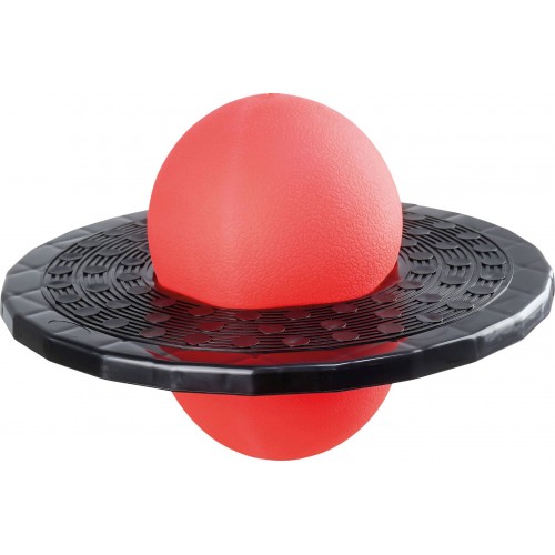 Bouncy Ball Ø15cm with pump Μπάλλα Ισορροπίας 73014042