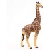 Papo Giraffe Male 50149