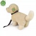 Rappa Λούτρινος Σκύλος Golden Retriever με Λουράκι 25εκ. Eco-Friendly 231009